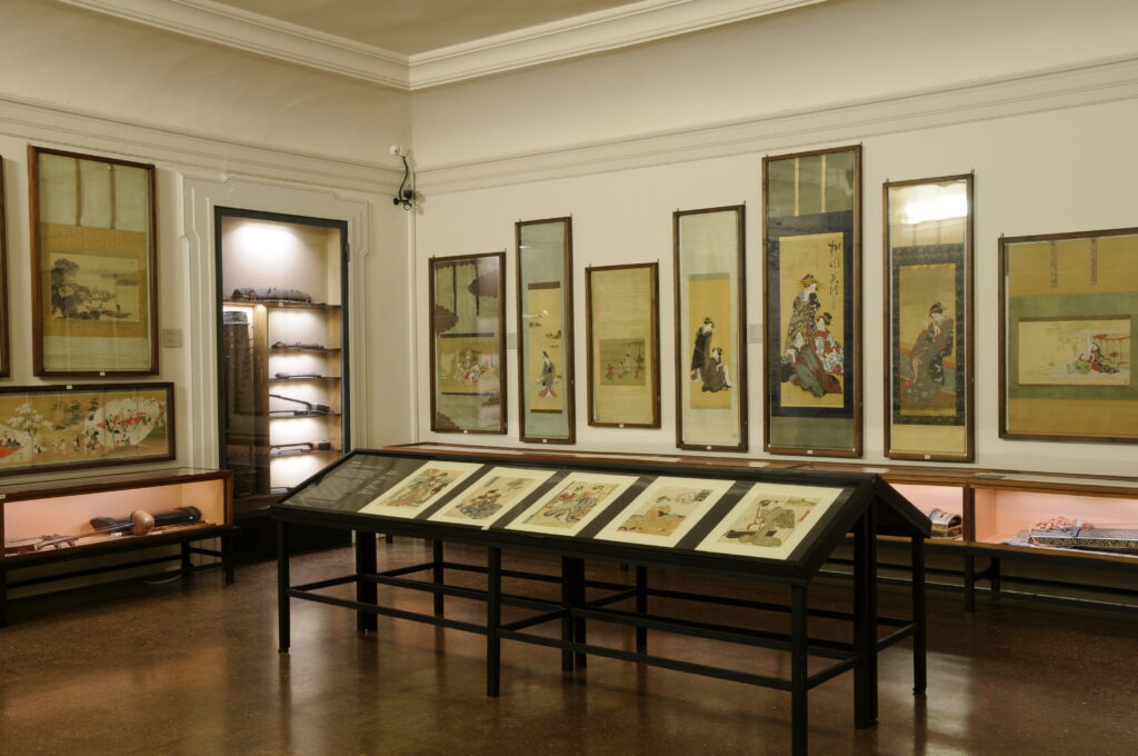 Veduta della sala VIII del Museo, con allestimento e vetrine.