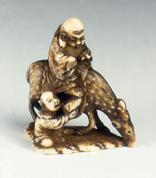 Scopri le collezioni